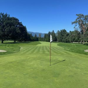 Sept 17 - 14 GREEN